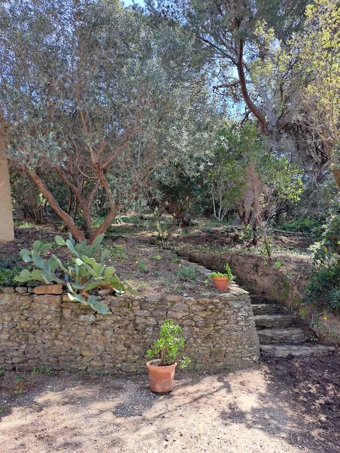 Villa Bastide Presqu Ile De Giens Superbe Vue Mer Piscine Hyeres