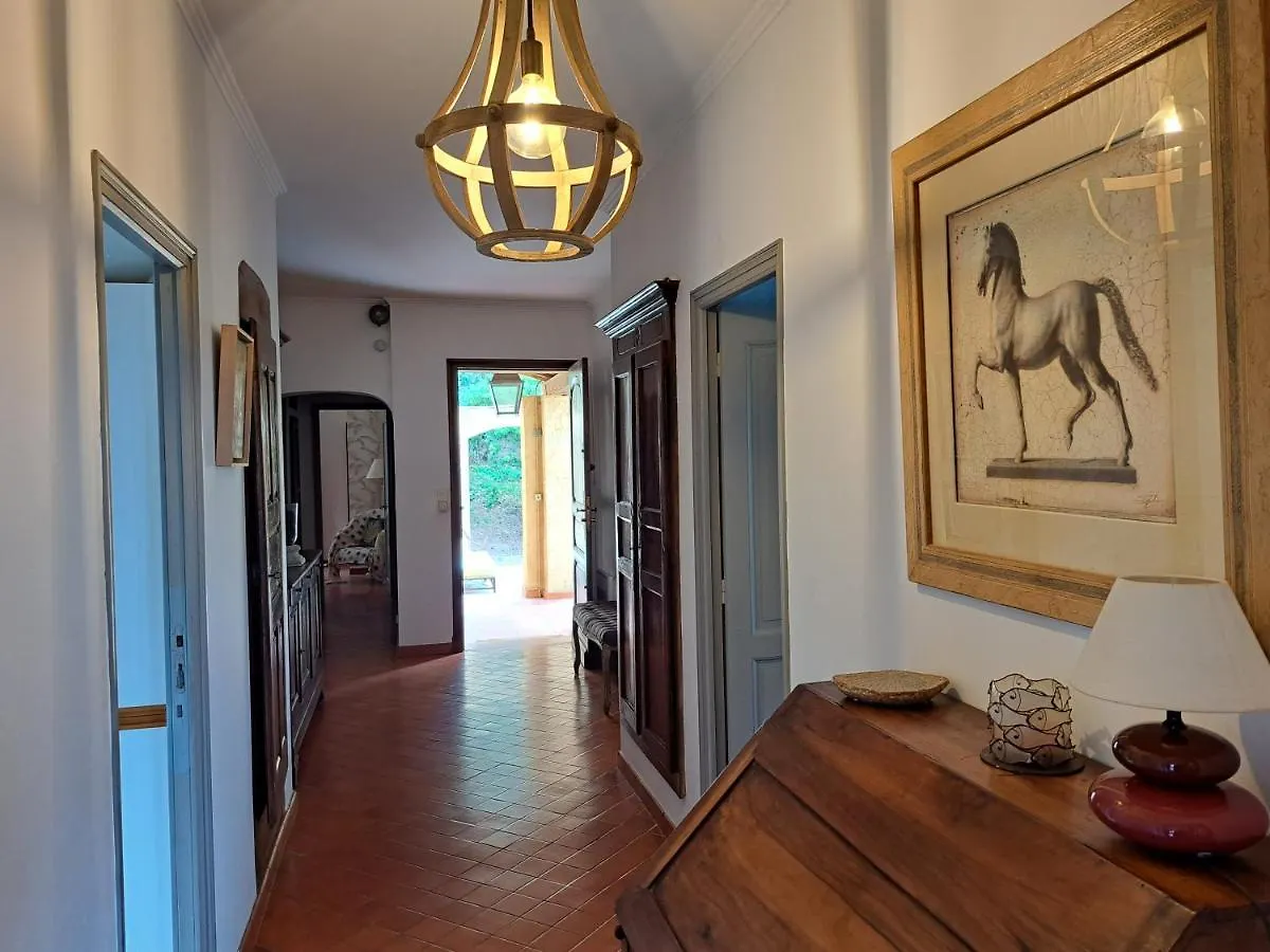 Bastide Presqu Ile De Giens Superbe Vue Mer Piscine Hyeres Villa