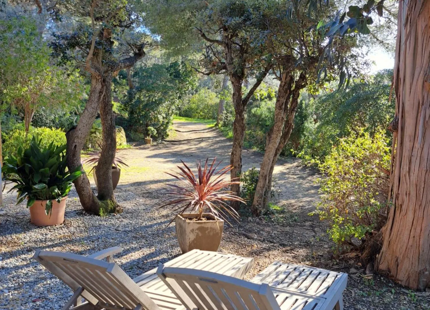 Villa Bastide Presqu Ile De Giens Superbe Vue Mer Piscine Hyères France